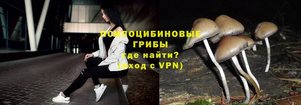 2c-b Надым