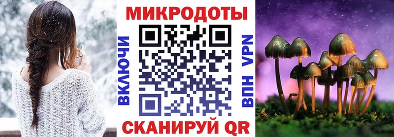 Псилоцибиновые грибы Psilocybe  Новоуральск 