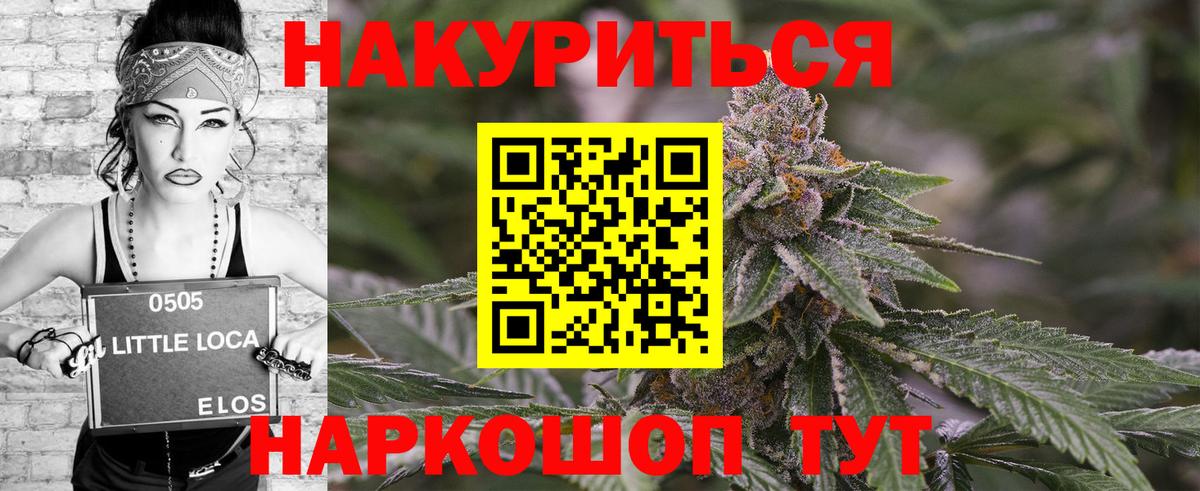 Каннабис сатива Новоуральск