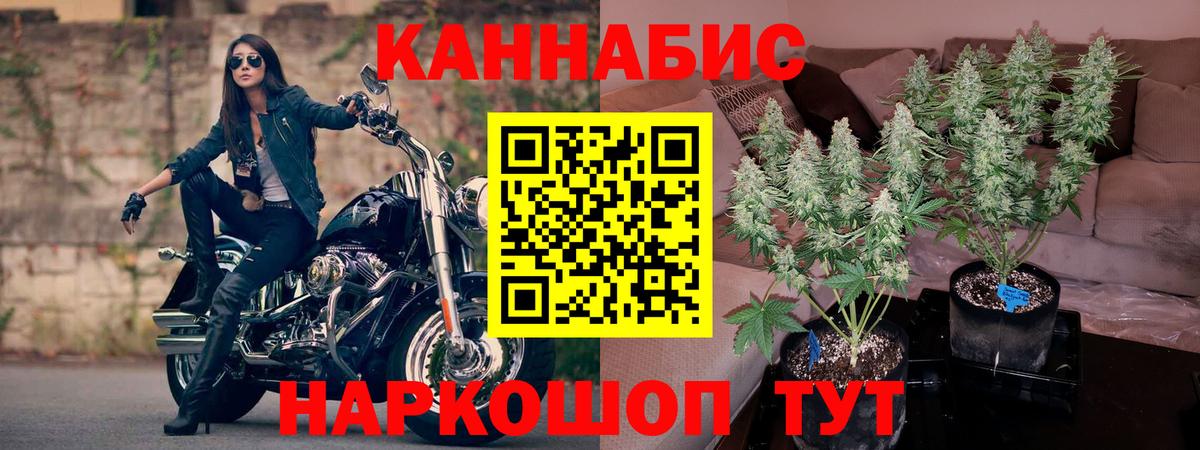 Каннабис MAZAR  Каннабис Bruce Banner  Новоуральск 